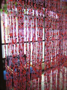 Bead Curtain Shop