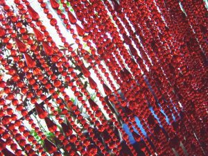 Red Bead Curtain Room Divider